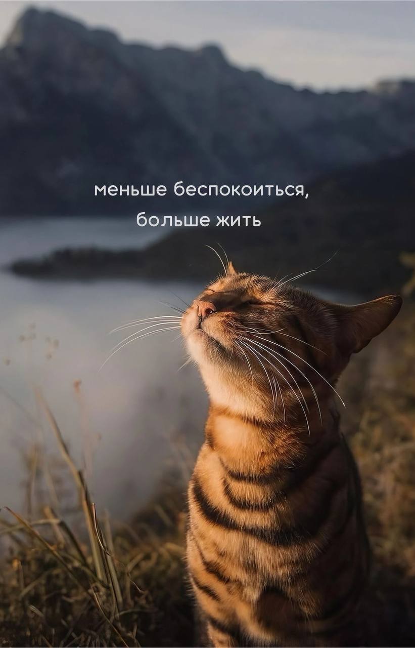 Онлайн курс по осознанности